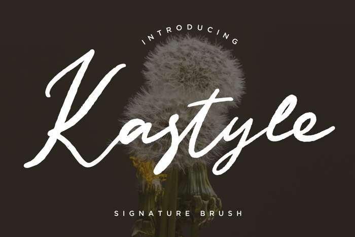 Kastyle Signature Brush Font poster