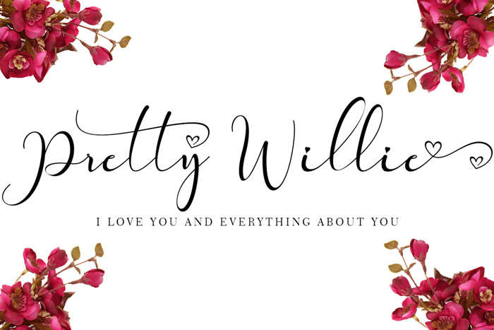 Pretty Willie Font poster