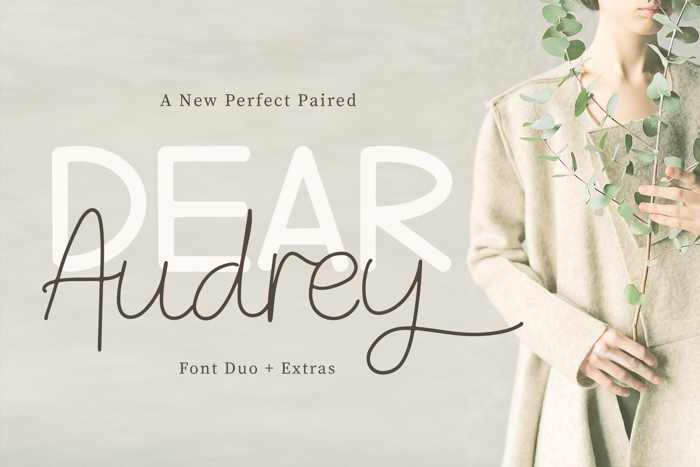 Dear Audrey Script Font poster