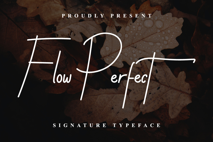 Flow Perfect Font poster