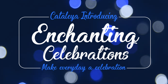Enchanting Celebrations poster