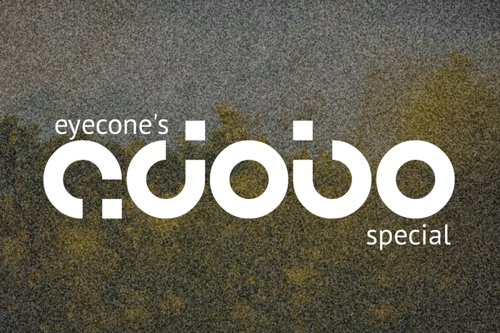 adobo Font poster