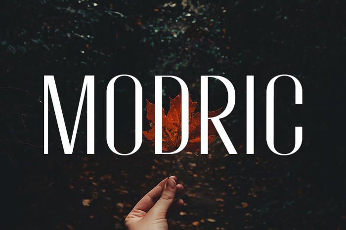 Modric Font poster