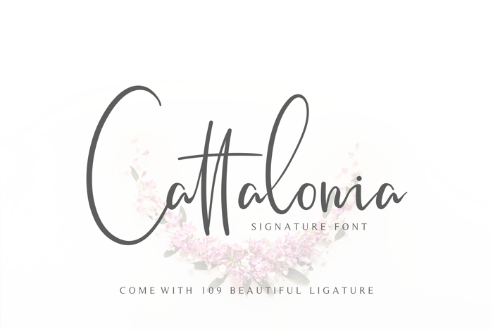 Cattalonia Font poster