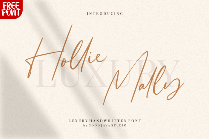 Hollie Mally Font poster