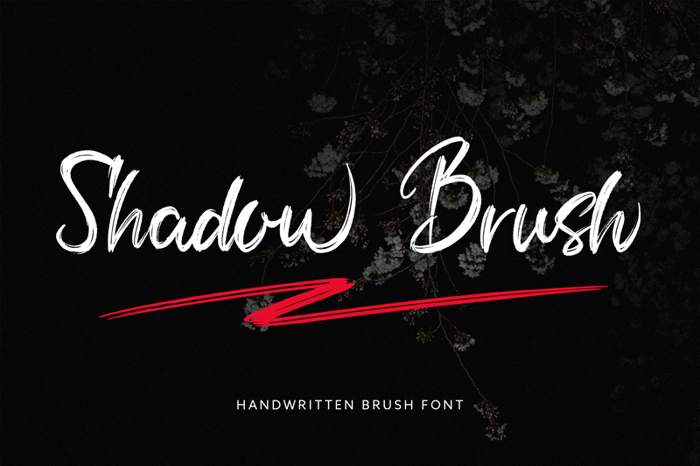 Shadow Brush Font poster