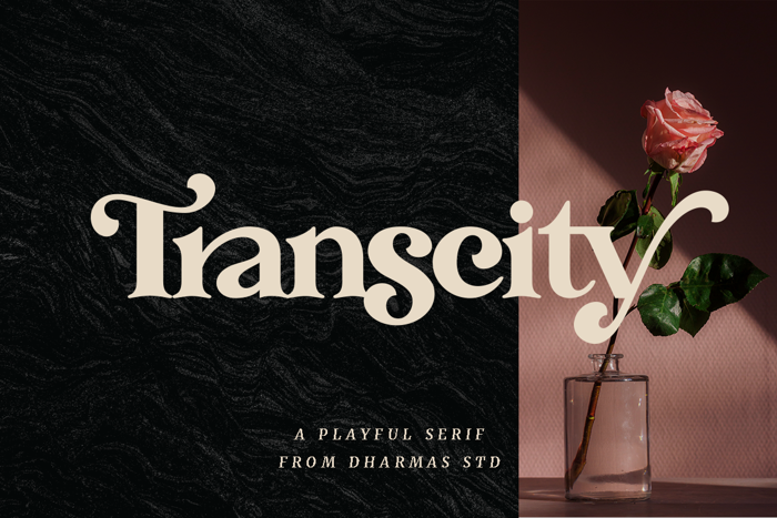 Transcity Font poster