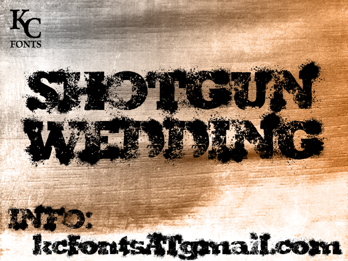 Shotgun Wedding poster