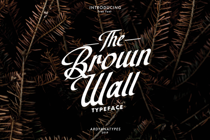 The Brown Wall Font poster