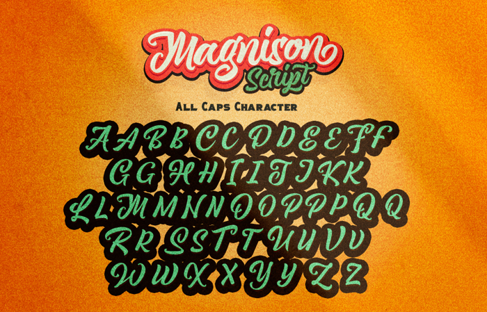 Magnison Script Font poster