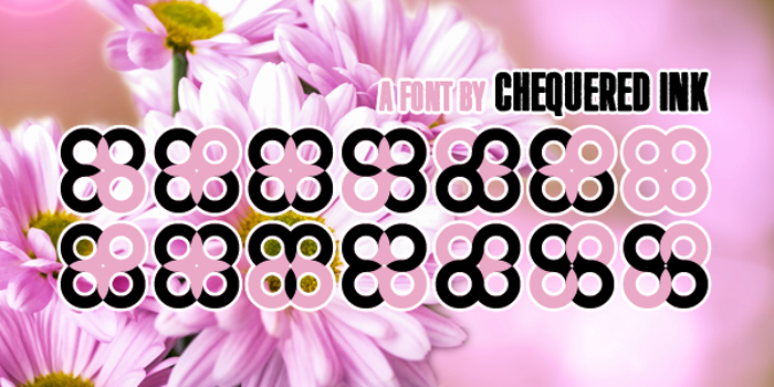 Floral Compass Font poster