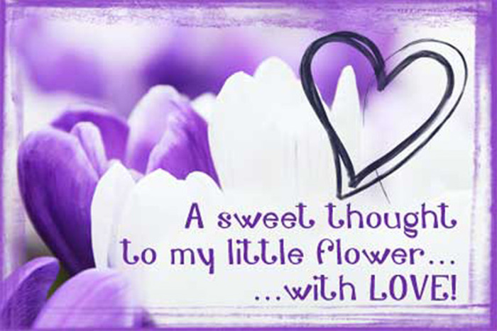 Adelfy_ Font poster