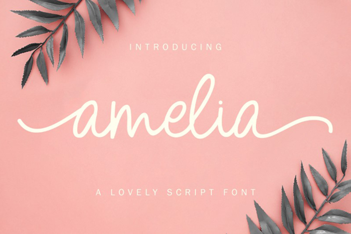 Amelia Script Font poster
