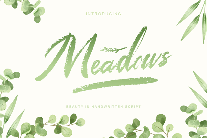 Meadows Font poster