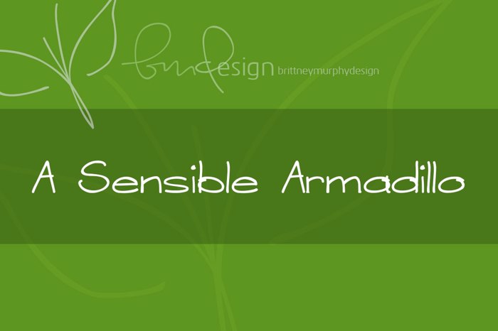 A Sensible Armadillo Font poster