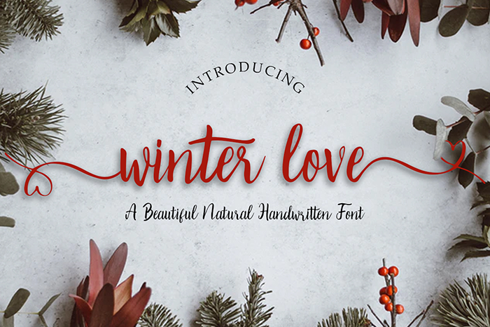 Winter Love Font poster