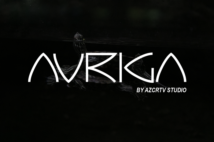 Auriga Font poster