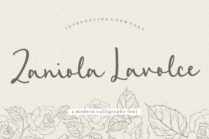 Zaniola Lavolce Font poster