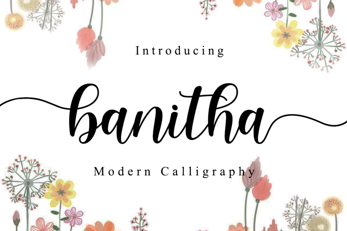 banitha Font poster