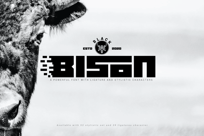 Black bison Font poster