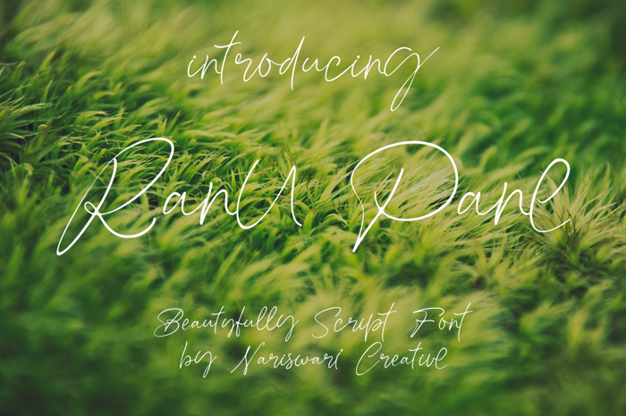 Ranu Pane Font poster