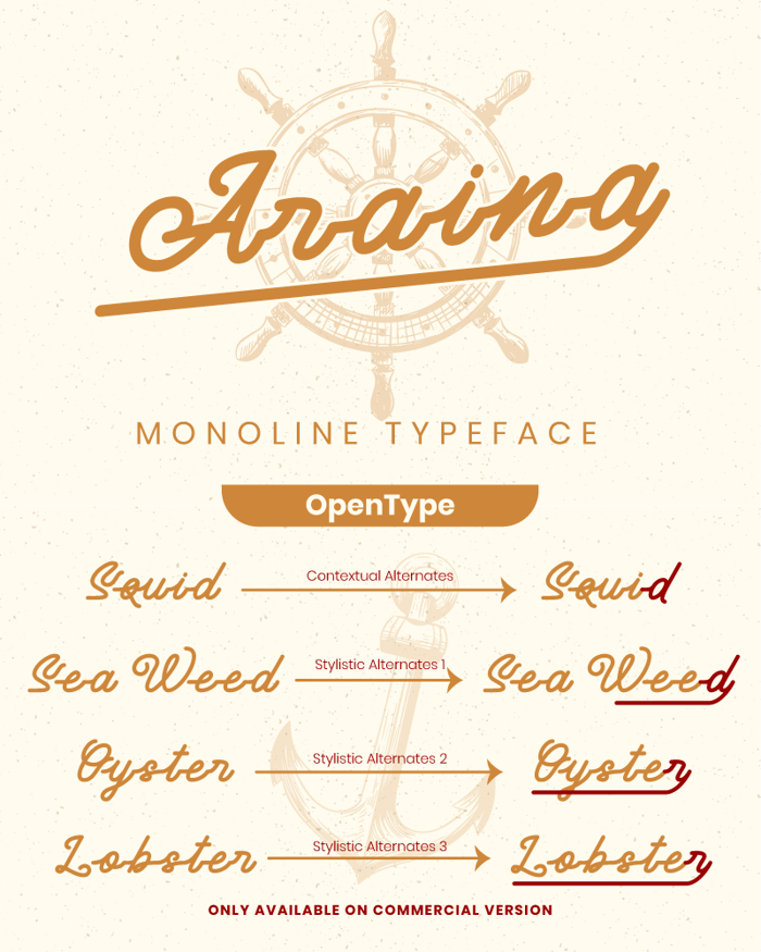 Araina Font poster