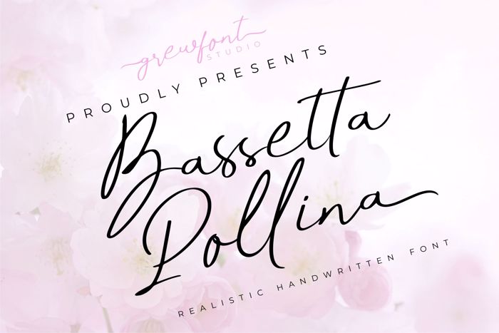 Bassetta Pollina Font poster