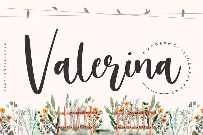 valerina Font poster