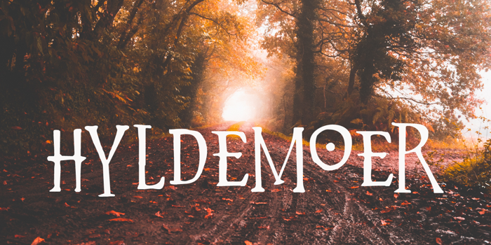 Hyldemoer DEMO Font poster