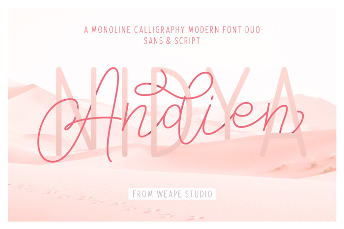 Andien Nidya Font poster
