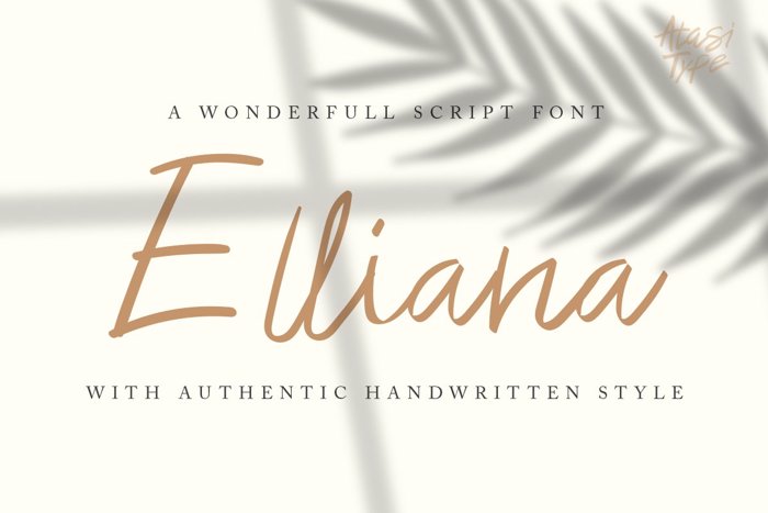 Elliana Script Font poster