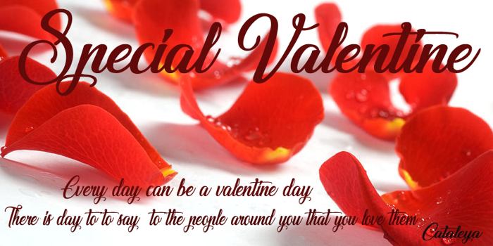 Special Valentine Font poster
