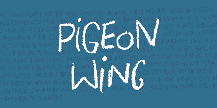 Pigeon Wing DEMO Font poster