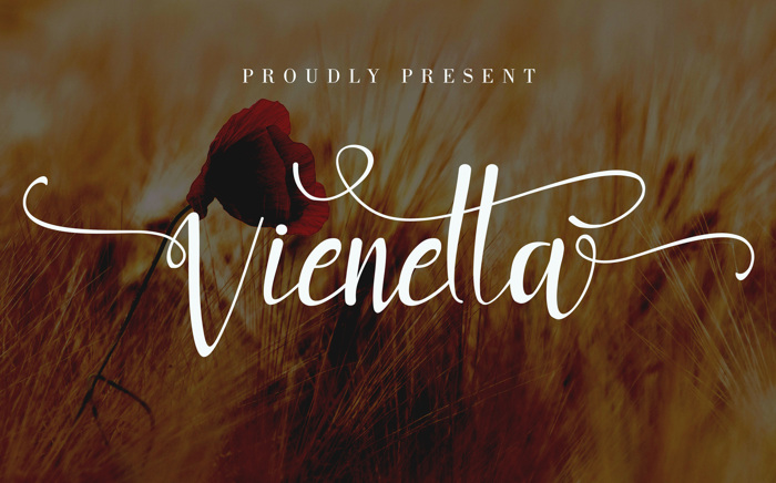 Vienetta Font poster