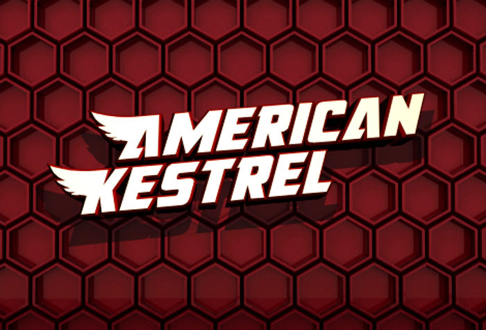 American Kestrel Font poster