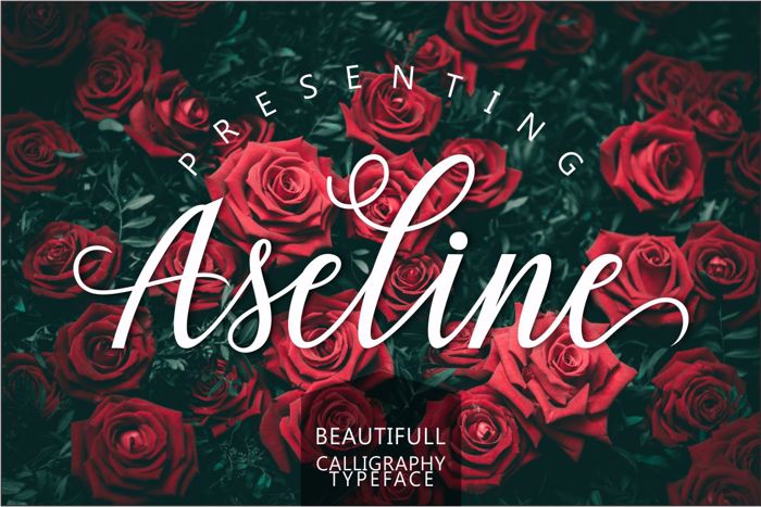 Aseline Script Font poster