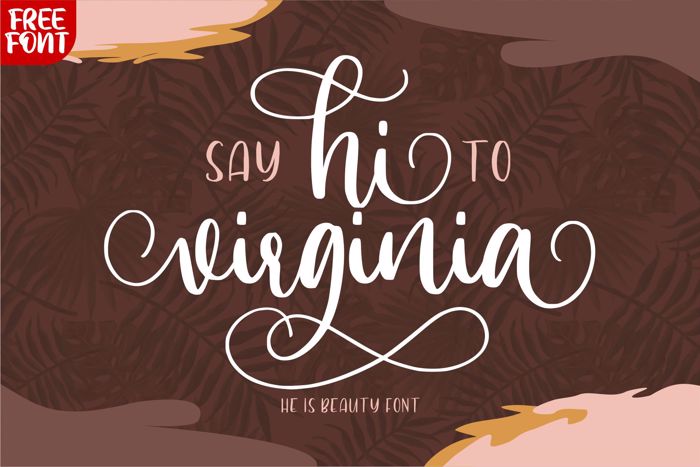 Hi Virginia Font poster