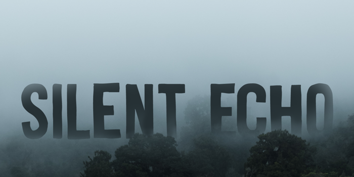 Silent Echo DEMO Font poster