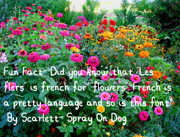 Les Fleurs Font poster