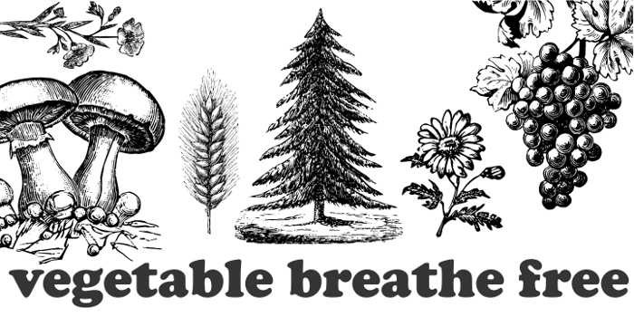 Vegetable Breathe Free Font poster