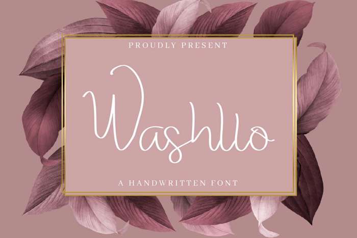 Washllo Font poster