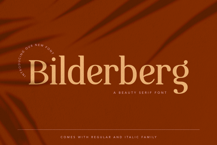 Bilderberg Font poster
