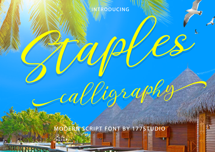 Staples Calligraphy Font poster