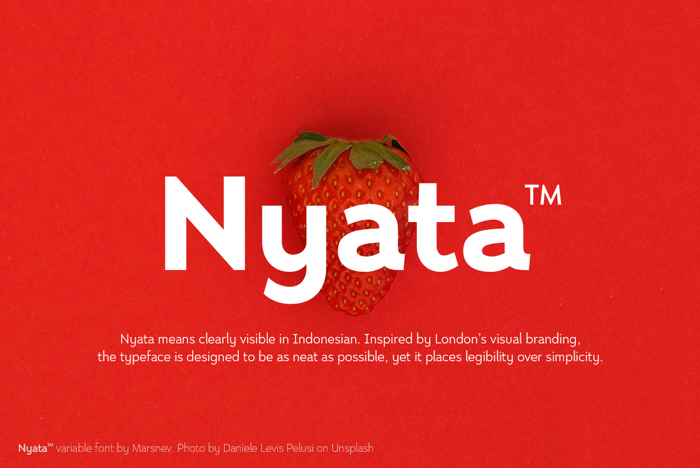 Nyata FTR Font poster