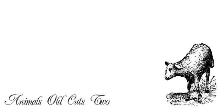 Animals Old Cuts Two Font poster