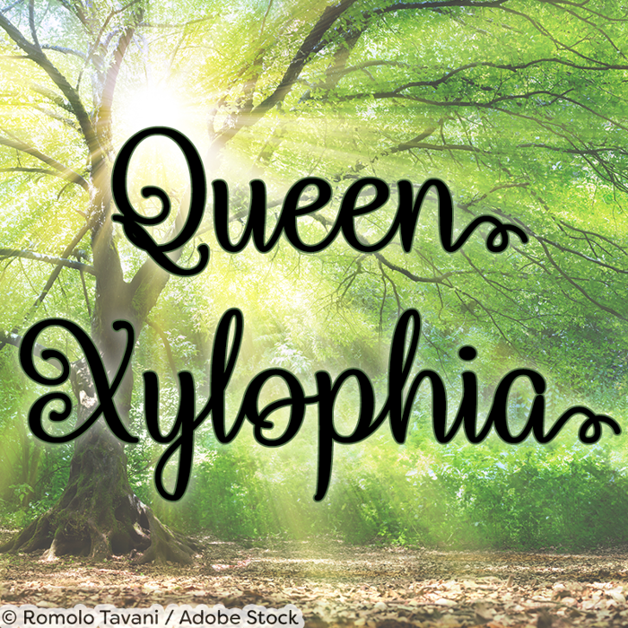 Queen Xylophia Font poster