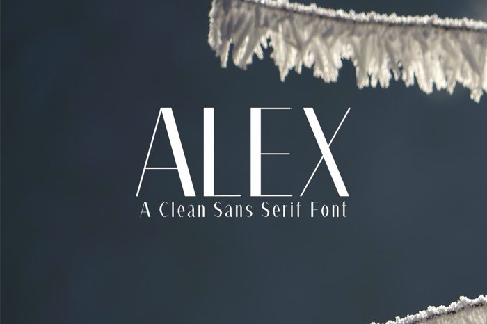 Alex Font poster