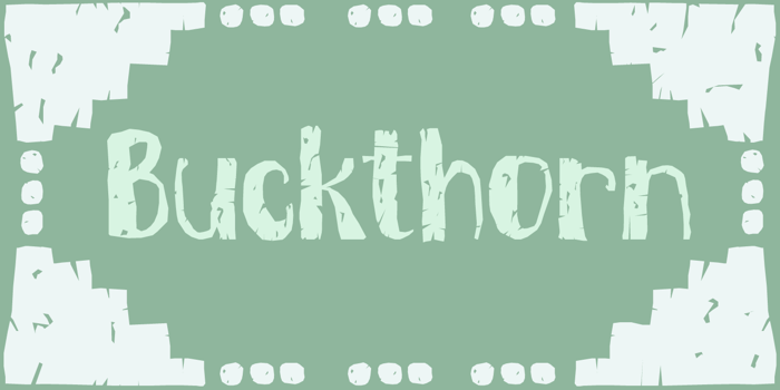 DK Buckthorn Font poster