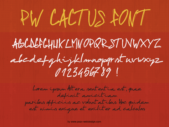 PWCactus Font poster