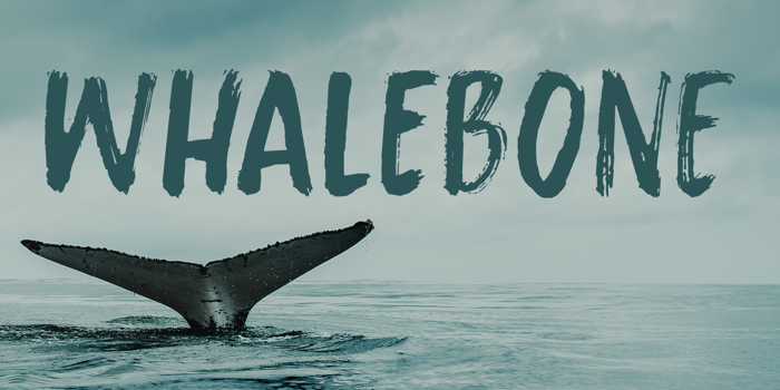 Whalebone Font poster